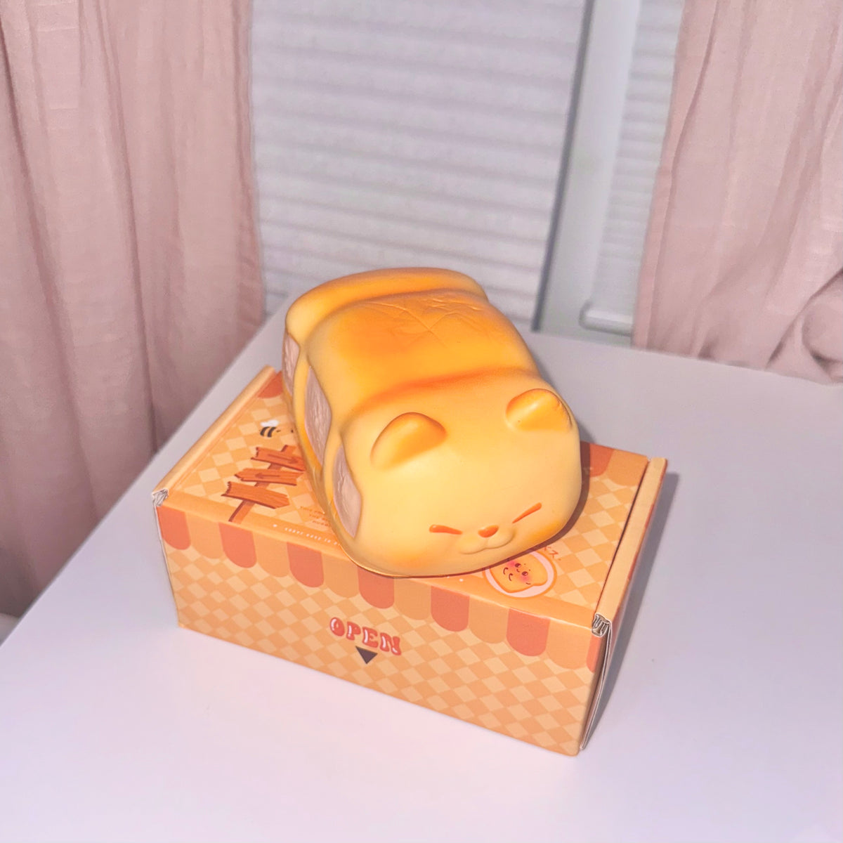 ₍^. .^₎Ⳋ🍞 𝄞⋆ ݁♪ . Zoe Squishy Cat Loaf Bus